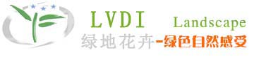 满堂红